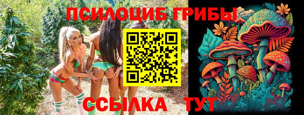 Псилоцибиновые грибы мицелий  Вход с VPN  Борзя 